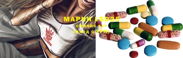 тгк Алзамай