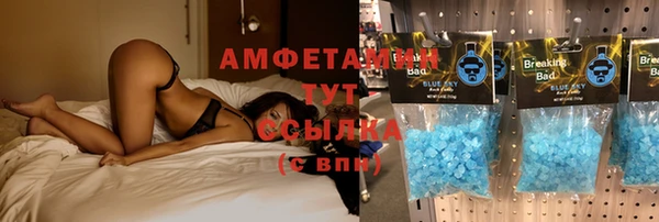 тгк Алзамай