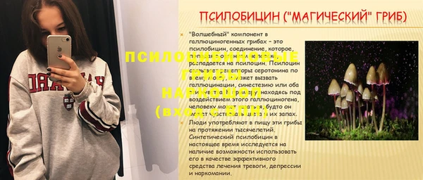 тгк Алзамай