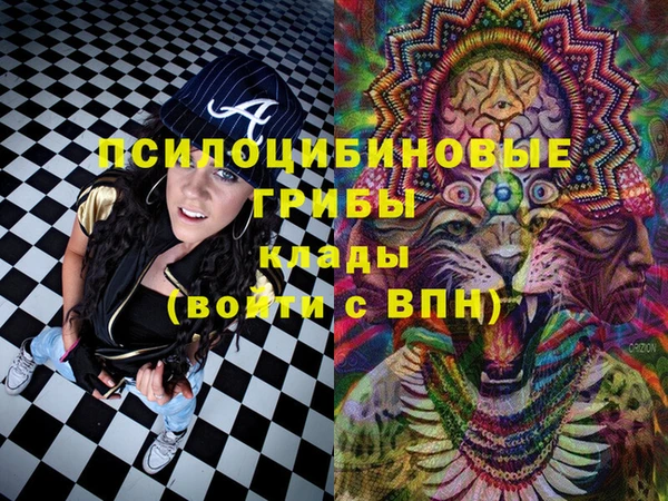 тгк Алзамай